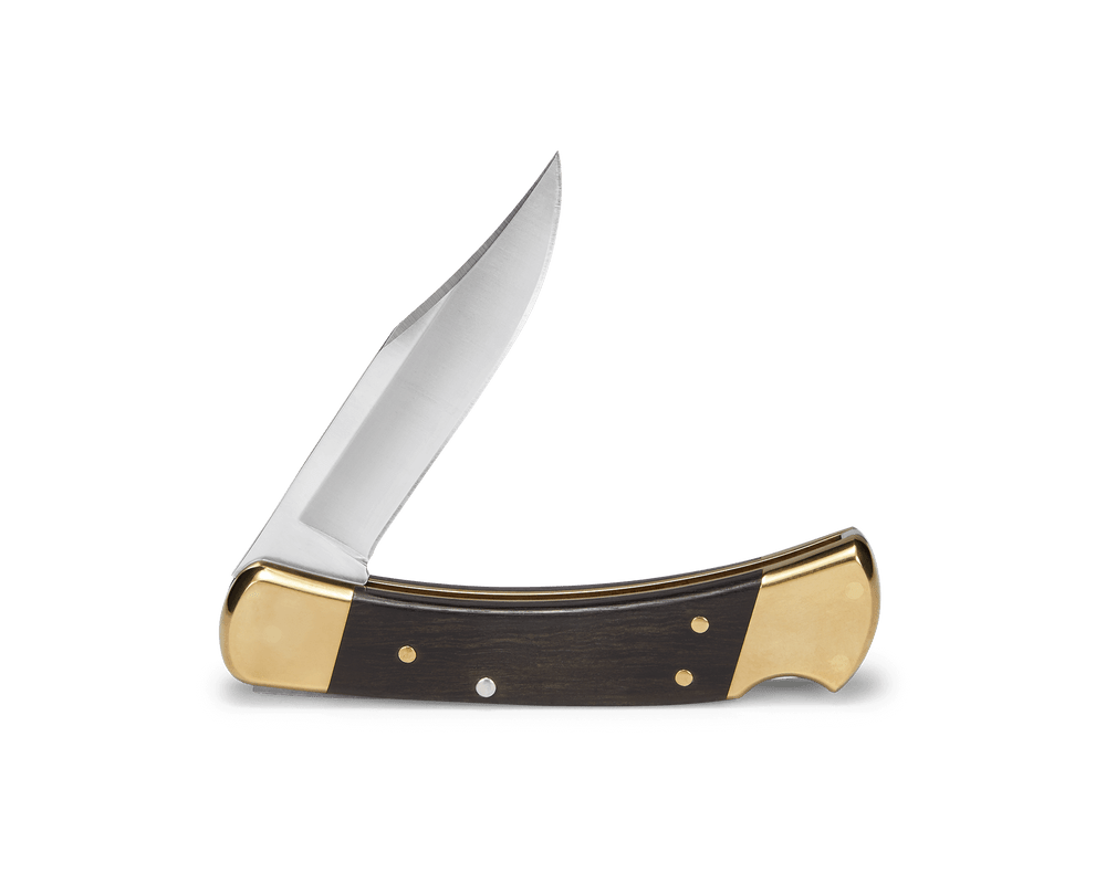 Buck 110 Folding Hunter® Knife