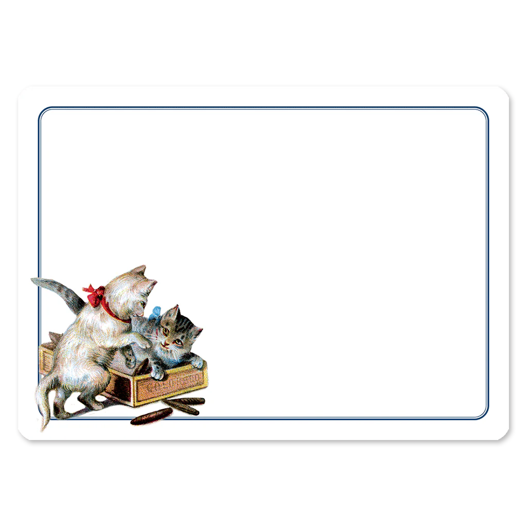 Kittens at Play Correspondence Cards (Social Stationery Set)