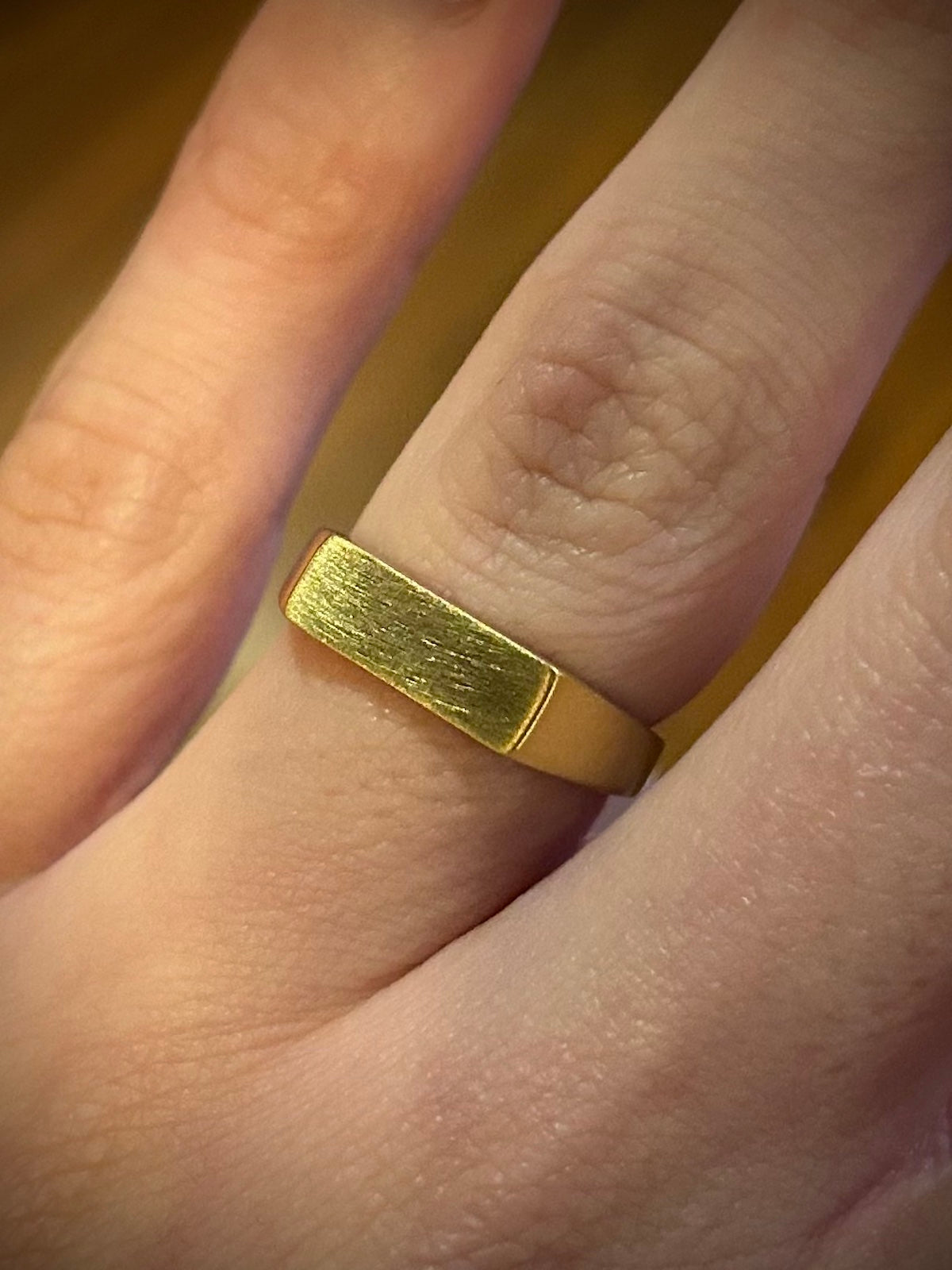 18k Gold PVD Coated Stainless Steel Horizontal Signet Ring