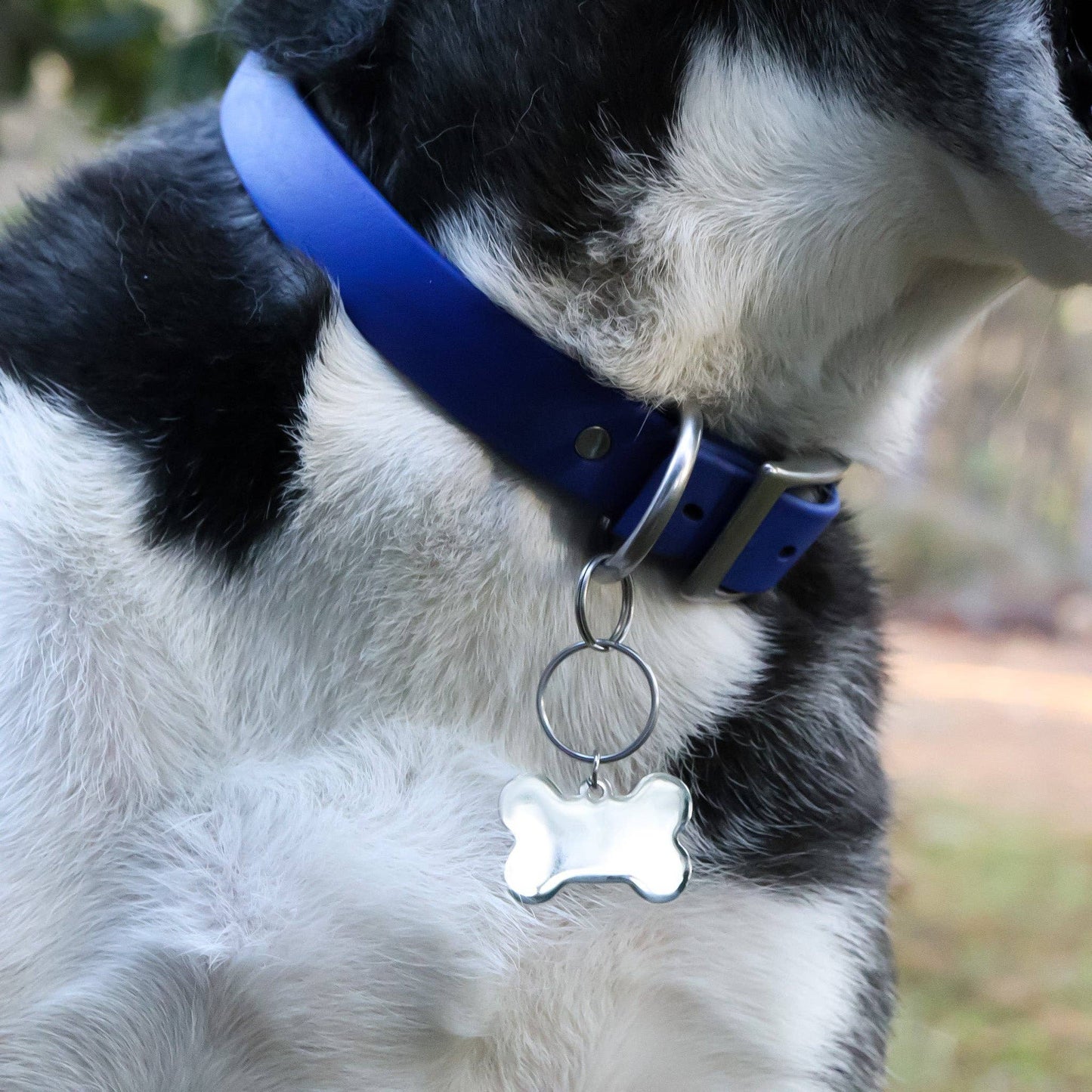 Large Stainless Steel Dog Bone Tag