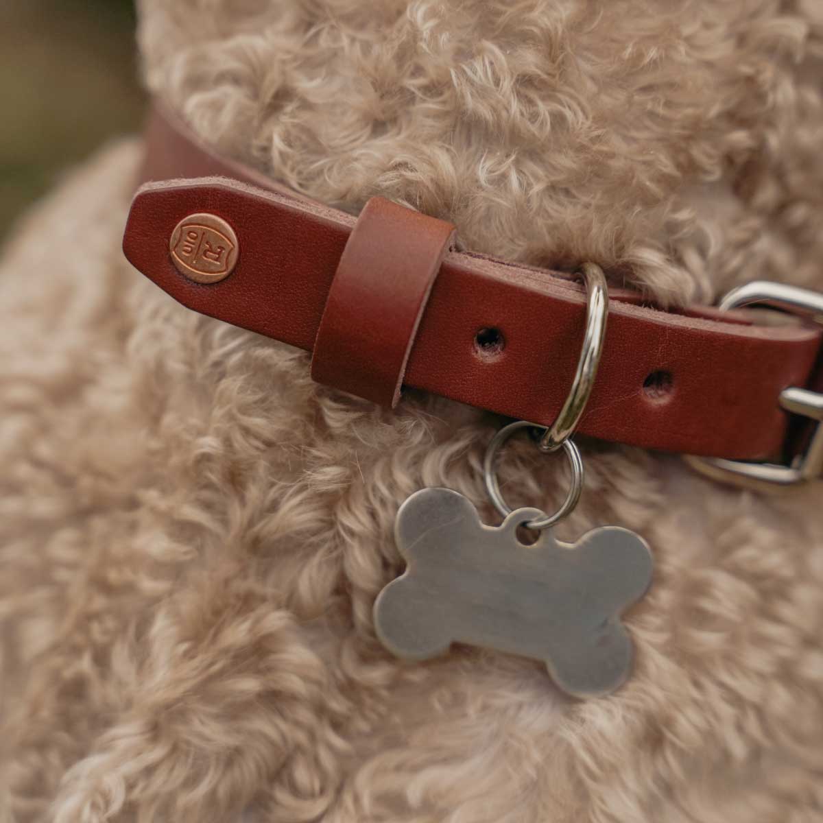 Handmade Leather Dog Collars (2 Sizes)