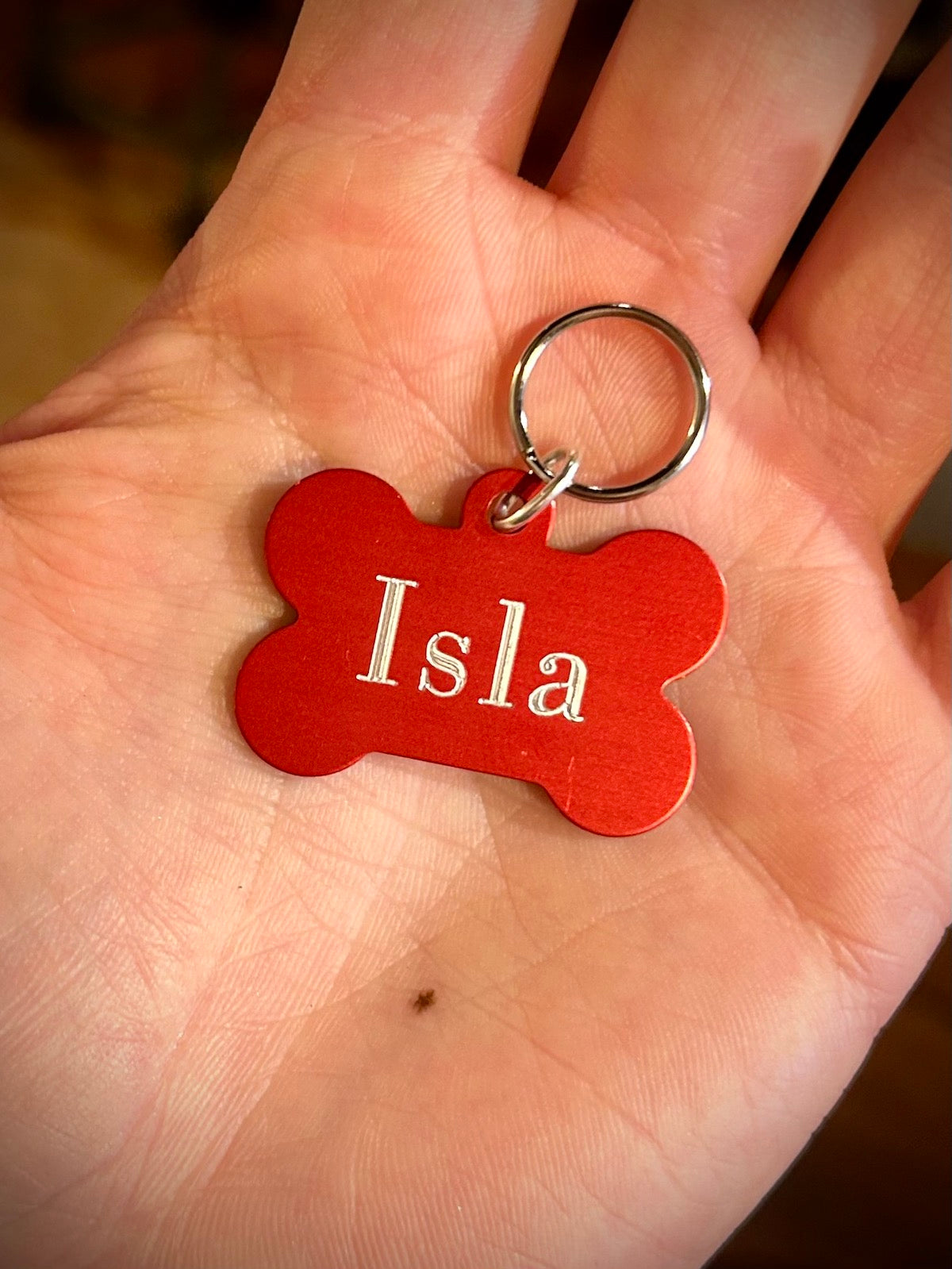 Bone Shaped Pet Tags