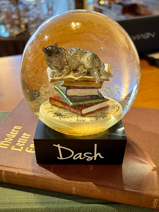 Cat on Books Snow Globe