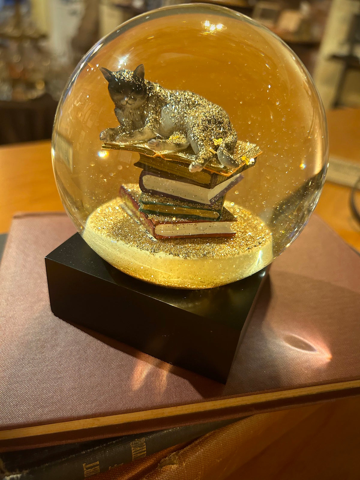 Cat on Books Snow Globe