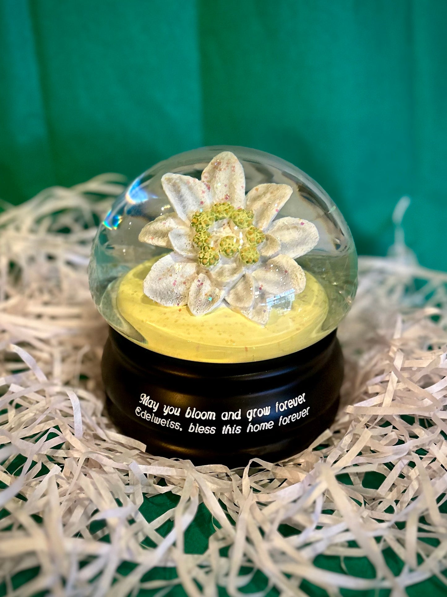 Edelweiss Flower Mushroom Musical Water Globe