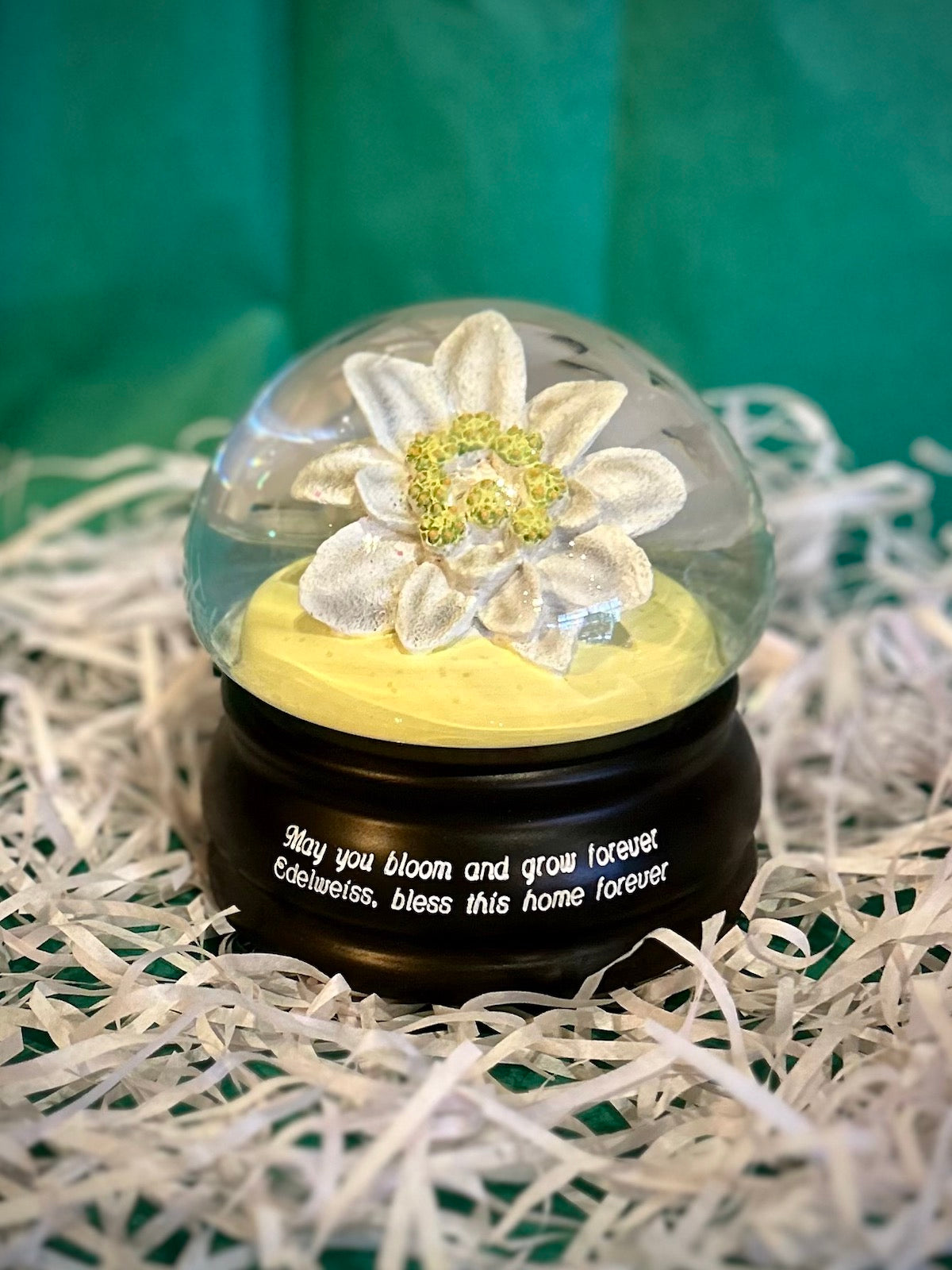 Edelweiss Flower Mushroom Musical Water Globe