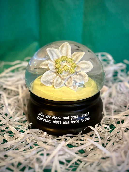Edelweiss Flower Mushroom Musical Water Globe