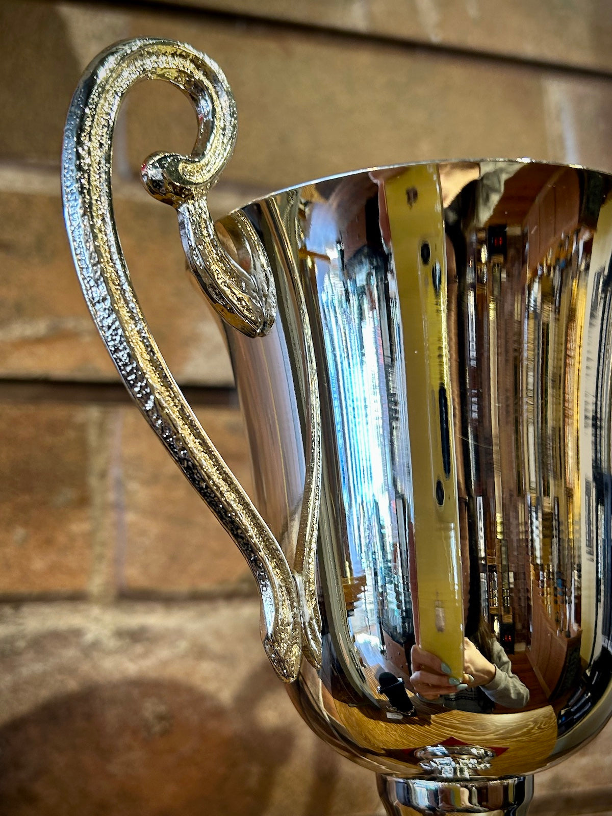 Premium Handmade in Italy Silver Plate Trophy Cup