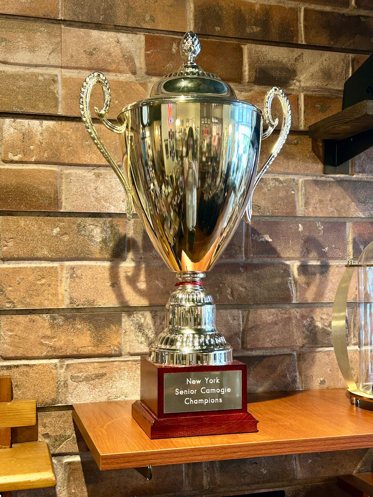 Premium Handmade in Italy Silver Plated 21.25"-25.25" Trophy Cup