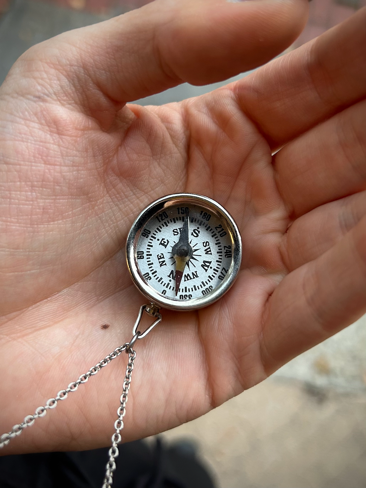 Silver Compass Necklace
