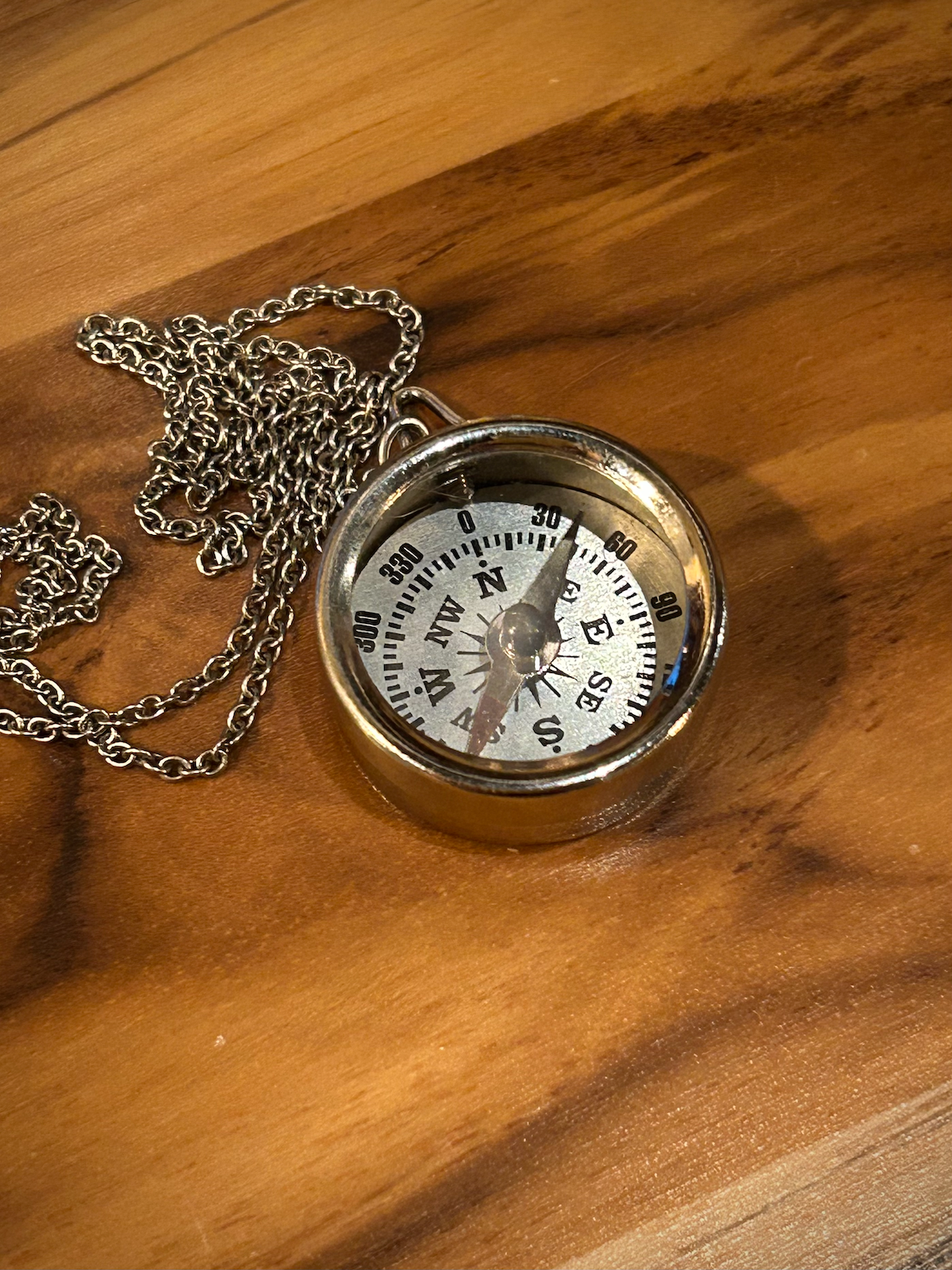 Silver Compass Necklace