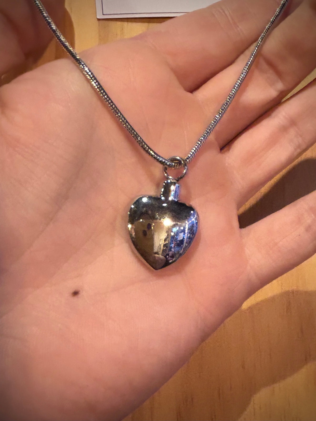 Stainless Steel Heart Urn Necklace