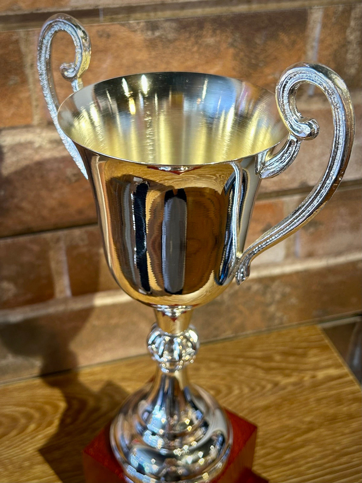 Premium Handmade in Italy Silver Plate Trophy Cup