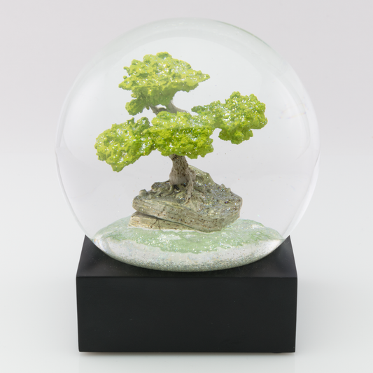 Bonsai Tree Snow Globe