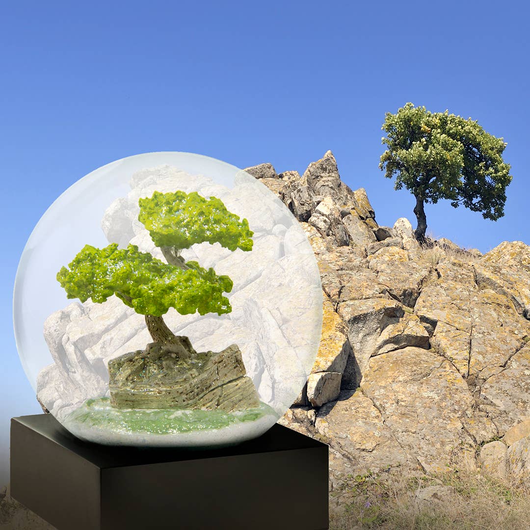 Bonsai Tree Snow Globe