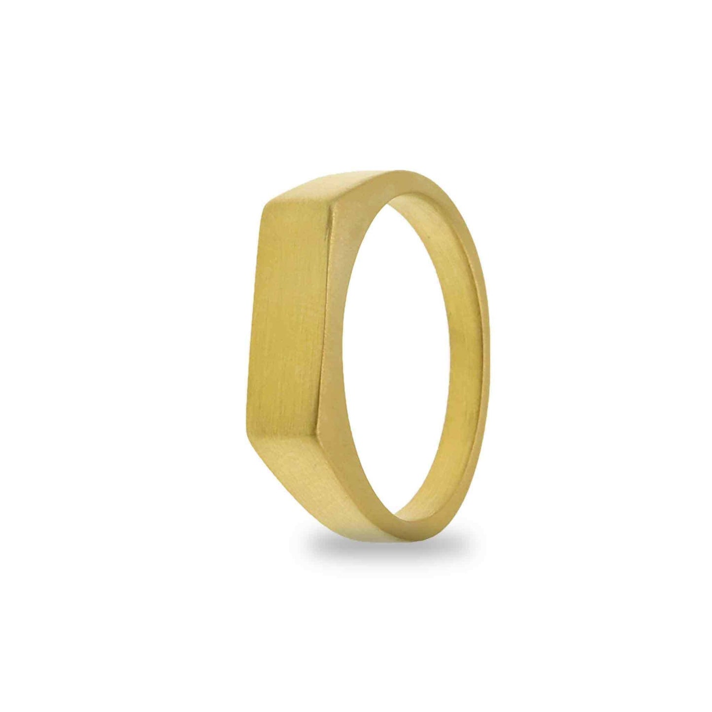 18k Gold PVD Coated Stainless Steel Horizontal Signet Ring