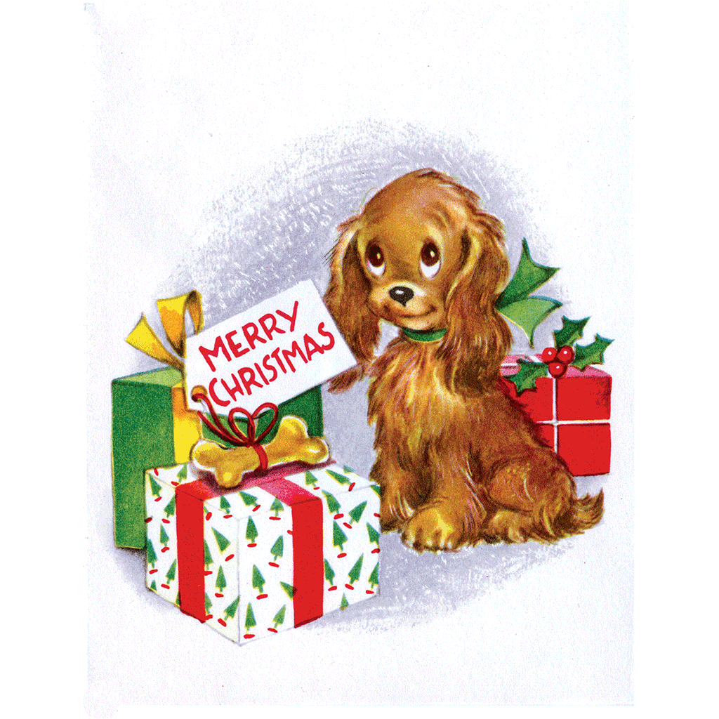 Spaniel with Presents Christmas Greeting Card