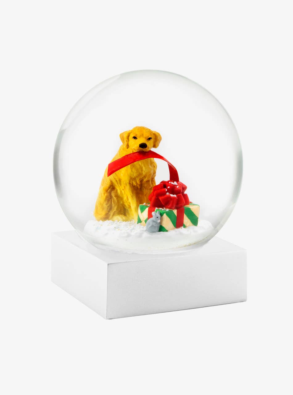 Dog with Gift Snow Globe