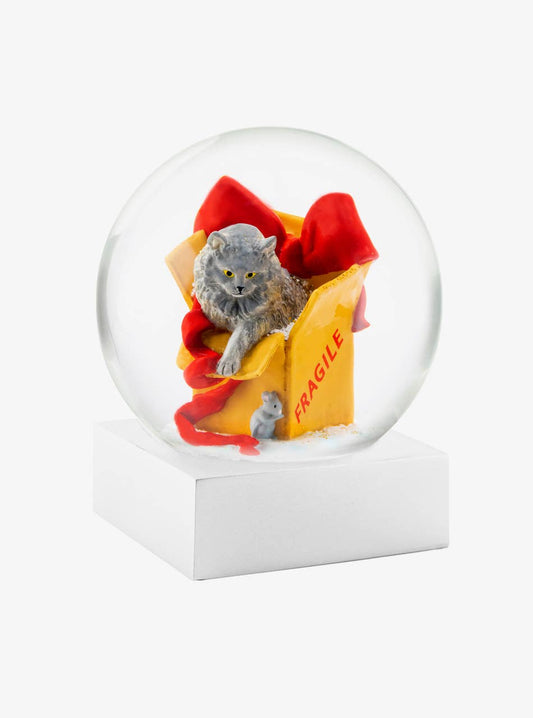 Cat in Box Snow Globe