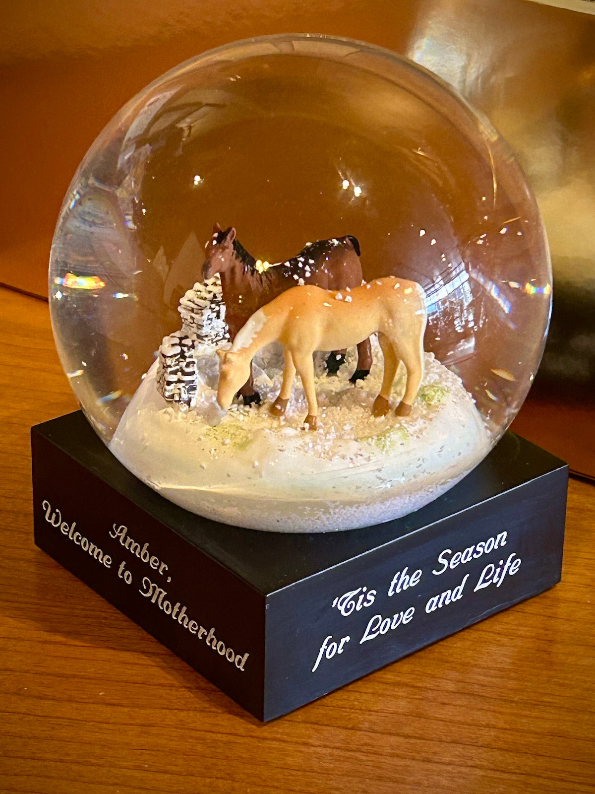 Horses Snow Globe