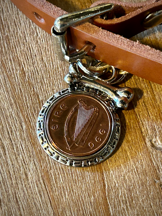 Lucky Irish Penny Coin Pet Tag