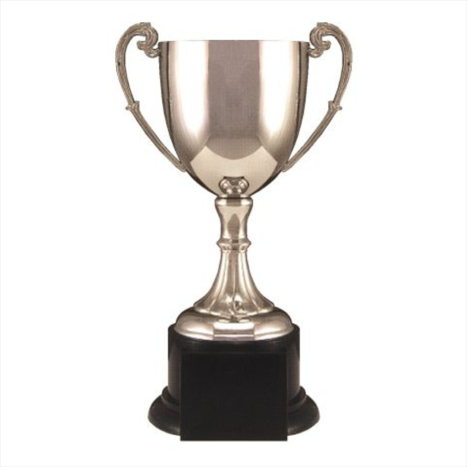 Die Cast Nickel Plated Trophy Cup on Round Base