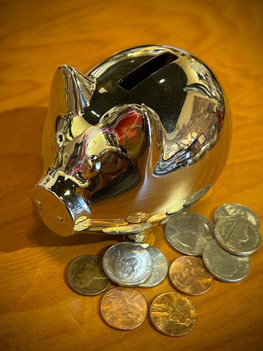 Small Shiny Silver Piggy Bank